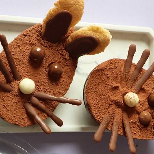 Box Coques Lapin Tiramisu de Pâques - Ookies