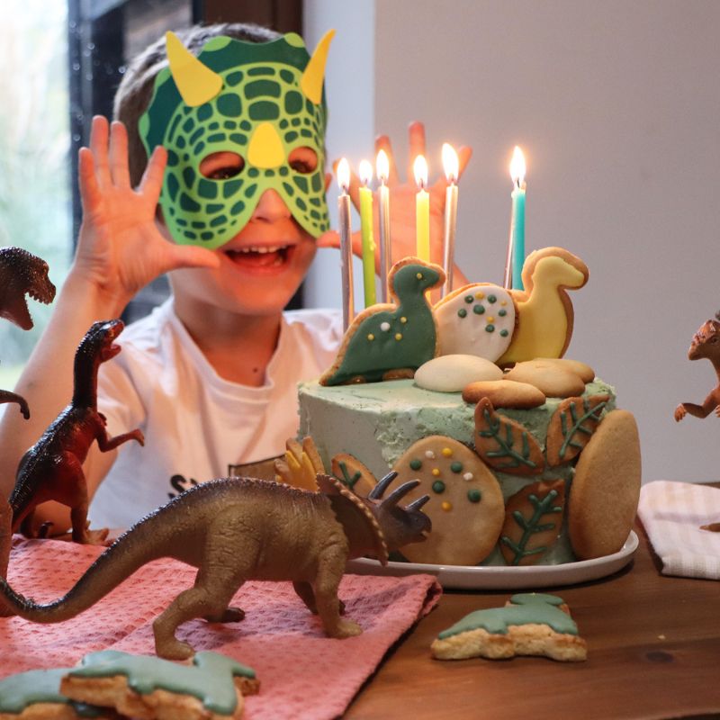 Kit Anniversaire enfant Dino Box gâteau et Déco - Ookies